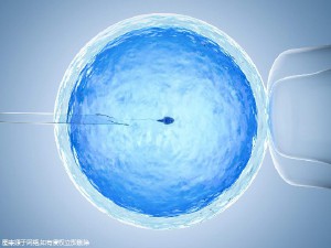张明华 院长